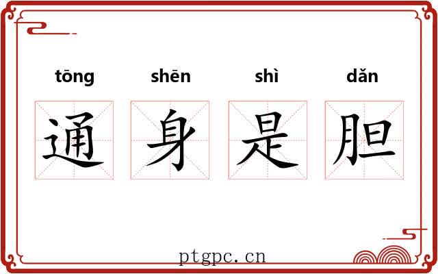 通身是胆
