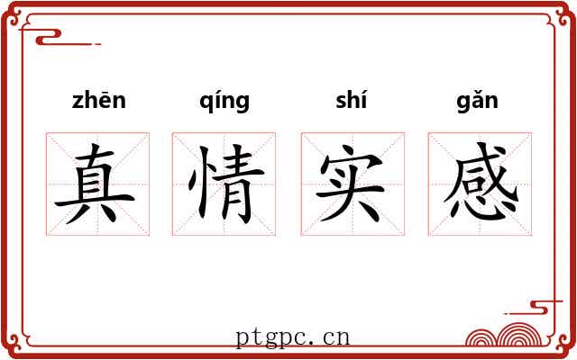 真情实感