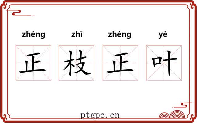 正枝正叶