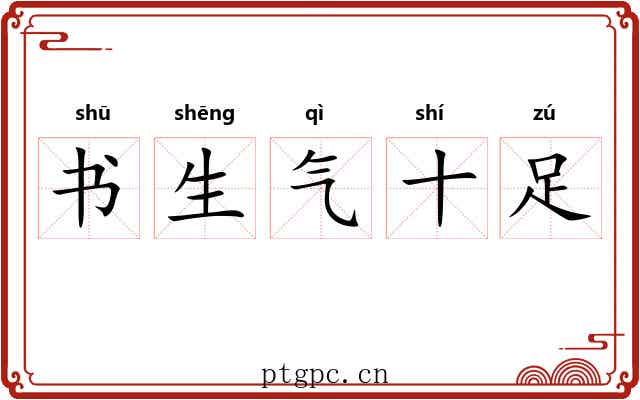 书生气十足