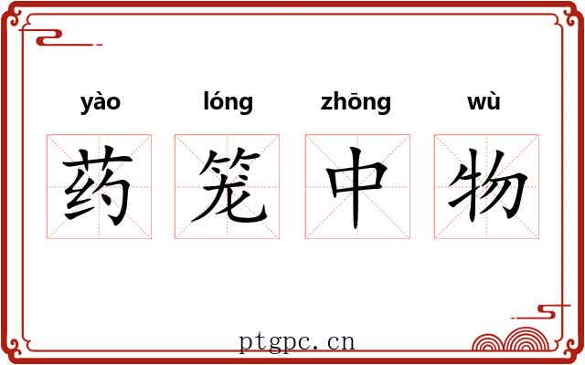 药笼中物