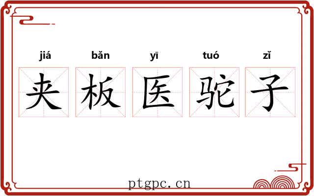 夹板医驼子