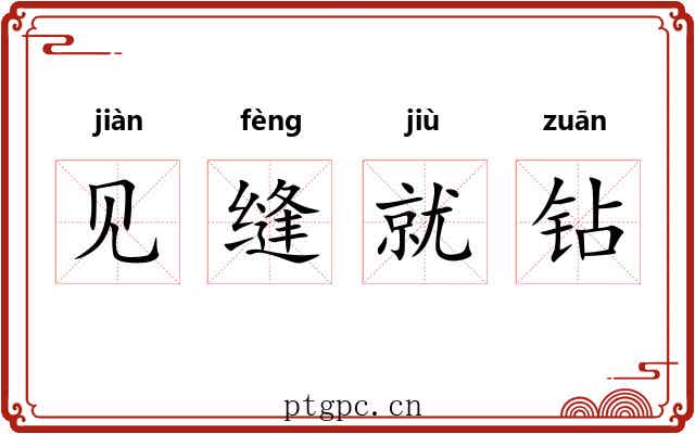 见缝就钻