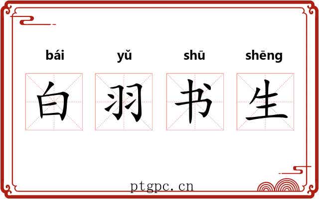 白羽书生