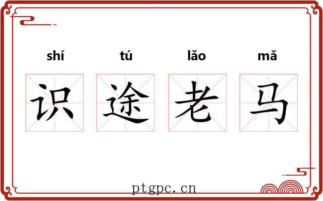 识途老马