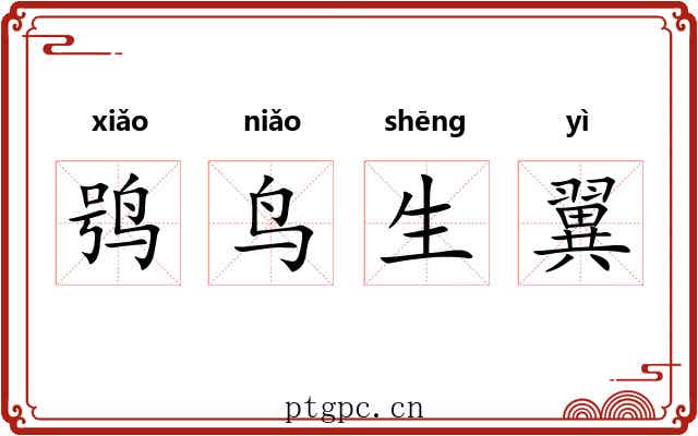 鸮鸟生翼