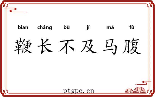 鞭长不及马腹