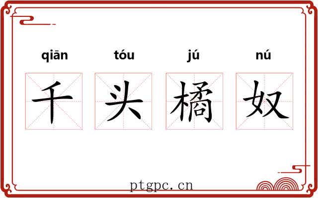 千头橘奴