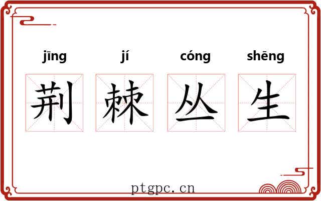 荆棘丛生