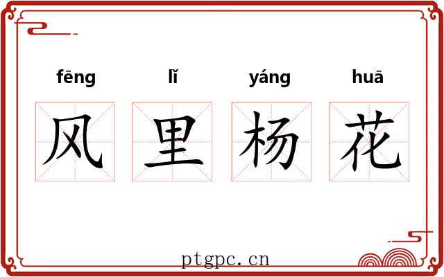 风里杨花