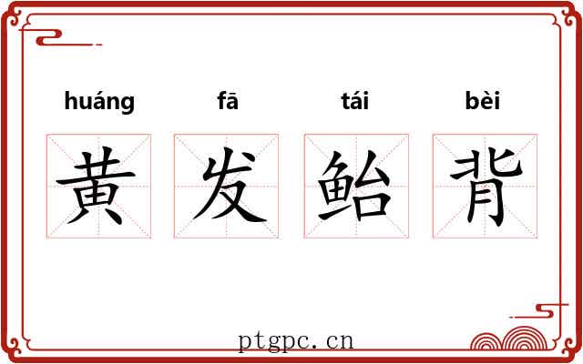 黄发鲐背