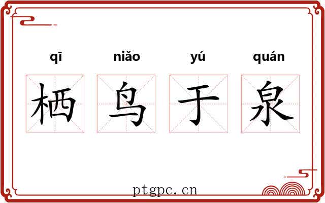 栖鸟于泉