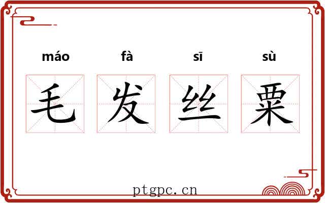 毛发丝粟