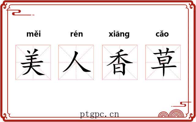美人香草
