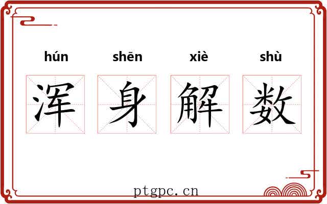 浑身解数