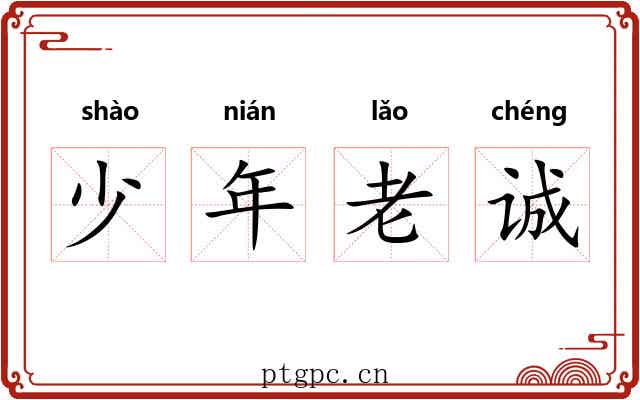 少年老诚