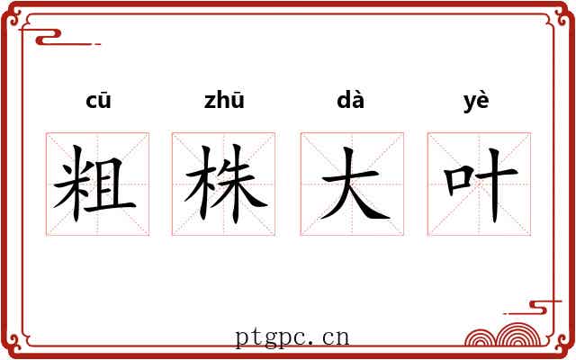 粗株大叶