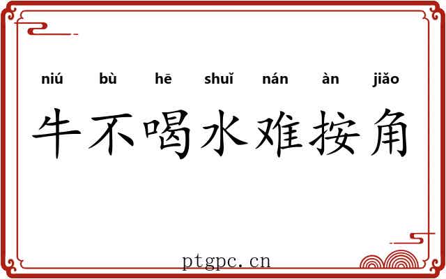 牛不喝水难按角