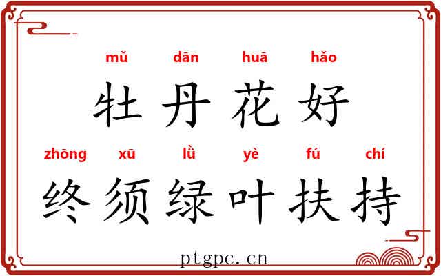 牡丹花好，终须绿叶扶持