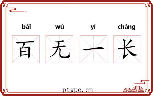 百无一长