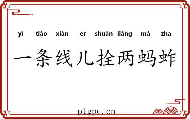 一条线儿拴两蚂蚱