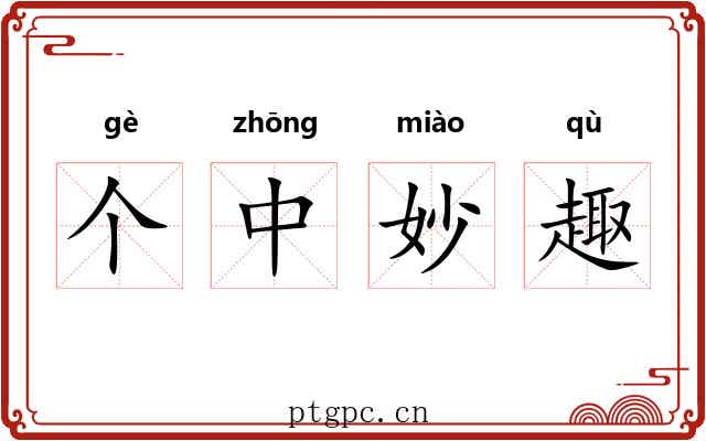 个中妙趣