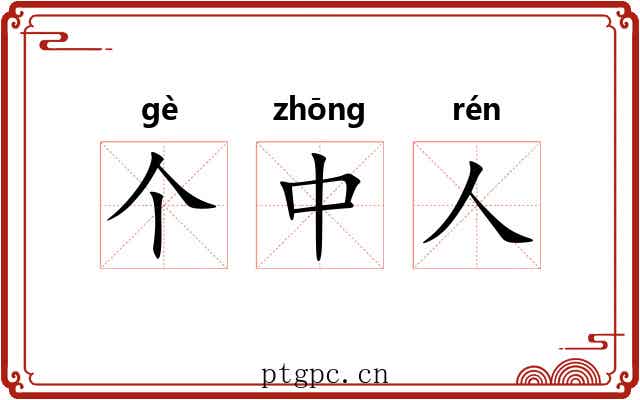 个中人