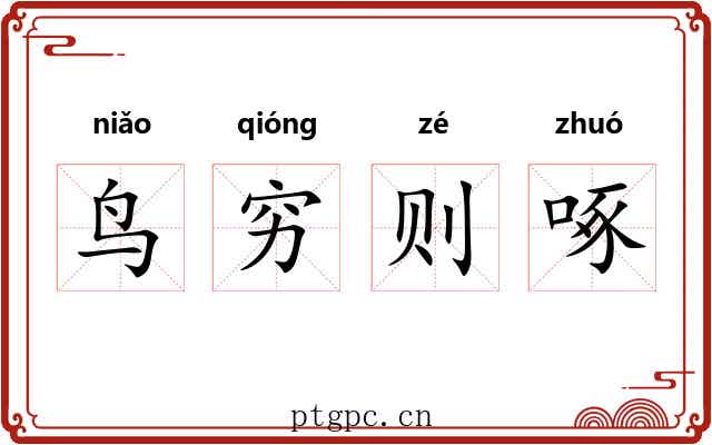 鸟穷则啄