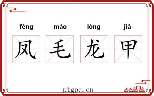 凤毛龙甲