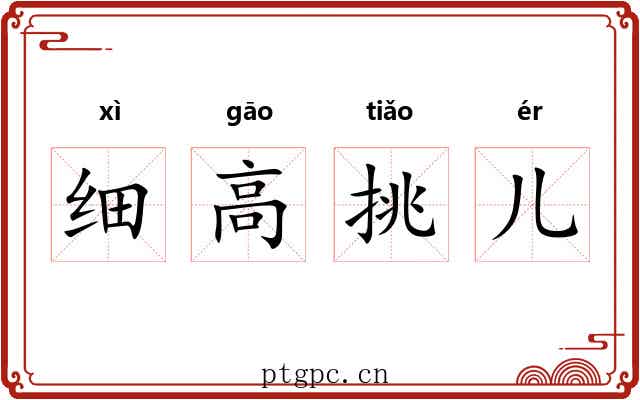 细高挑儿