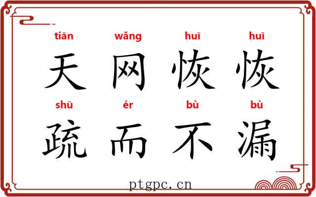 天网恢恢，疏而不漏
