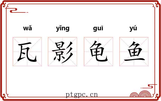 瓦影龟鱼