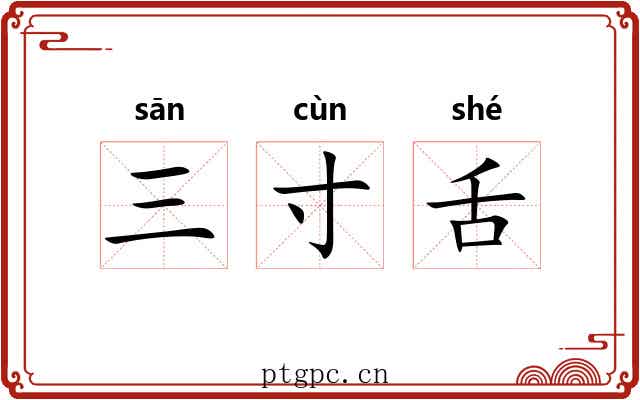 三寸舌