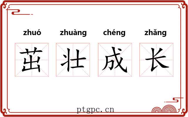 茁壮成长