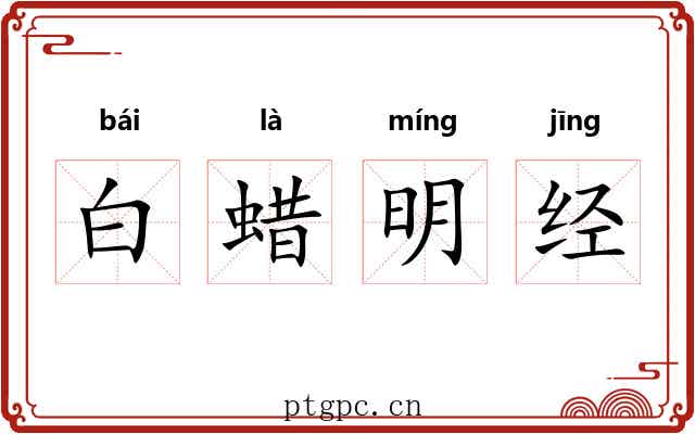 白蜡明经