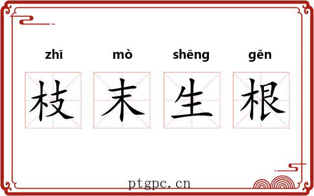 枝末生根
