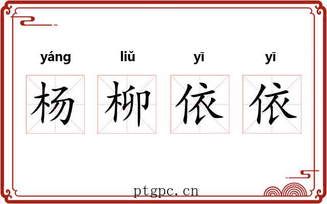 杨柳依依