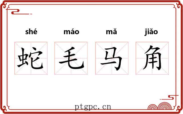 蛇毛马角