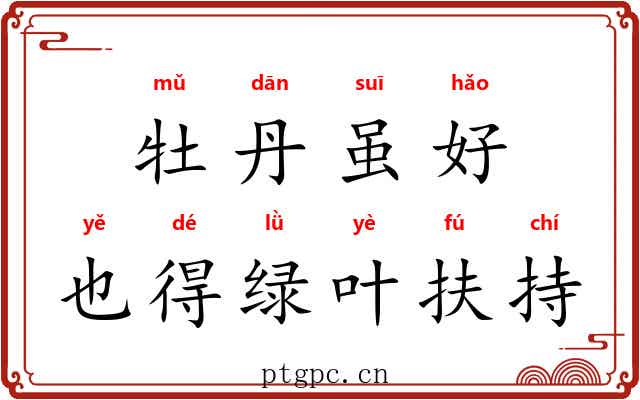 牡丹虽好，也得绿叶扶持