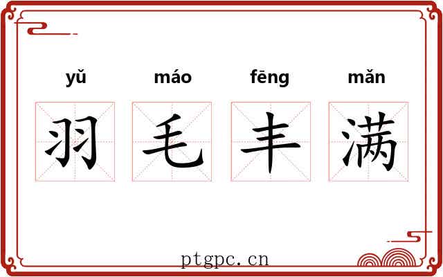 羽毛丰满