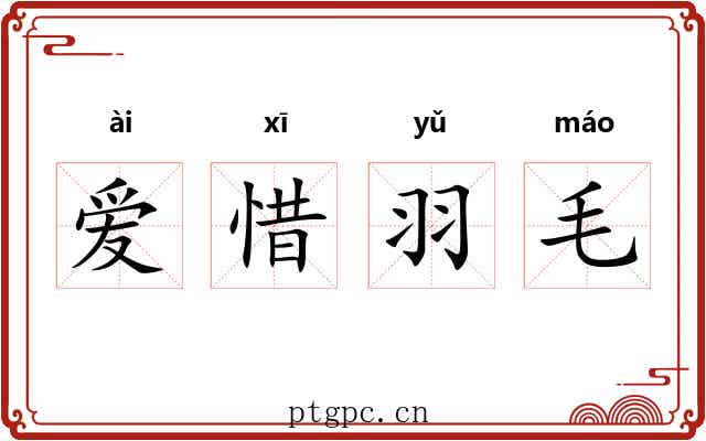 爱惜羽毛