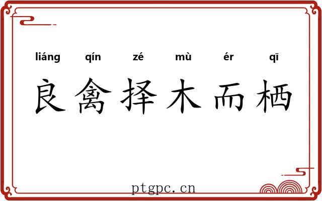良禽择木而栖