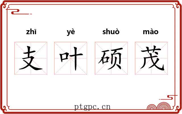 支叶硕茂