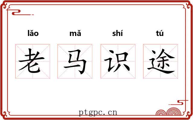 老马识途