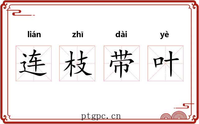 连枝带叶