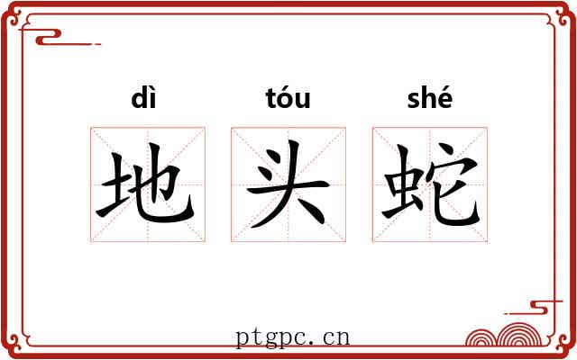 地头蛇