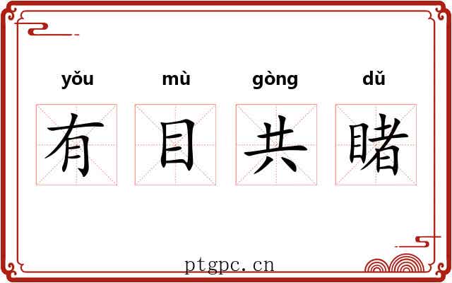 有目共睹