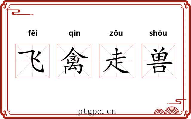 飞禽走兽