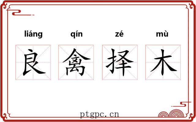 良禽择木