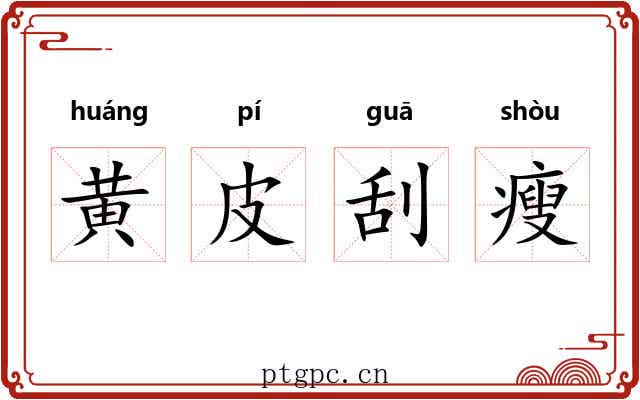 黄皮刮瘦